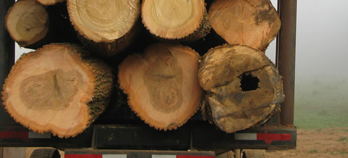 trasporto materiale industrie del legno